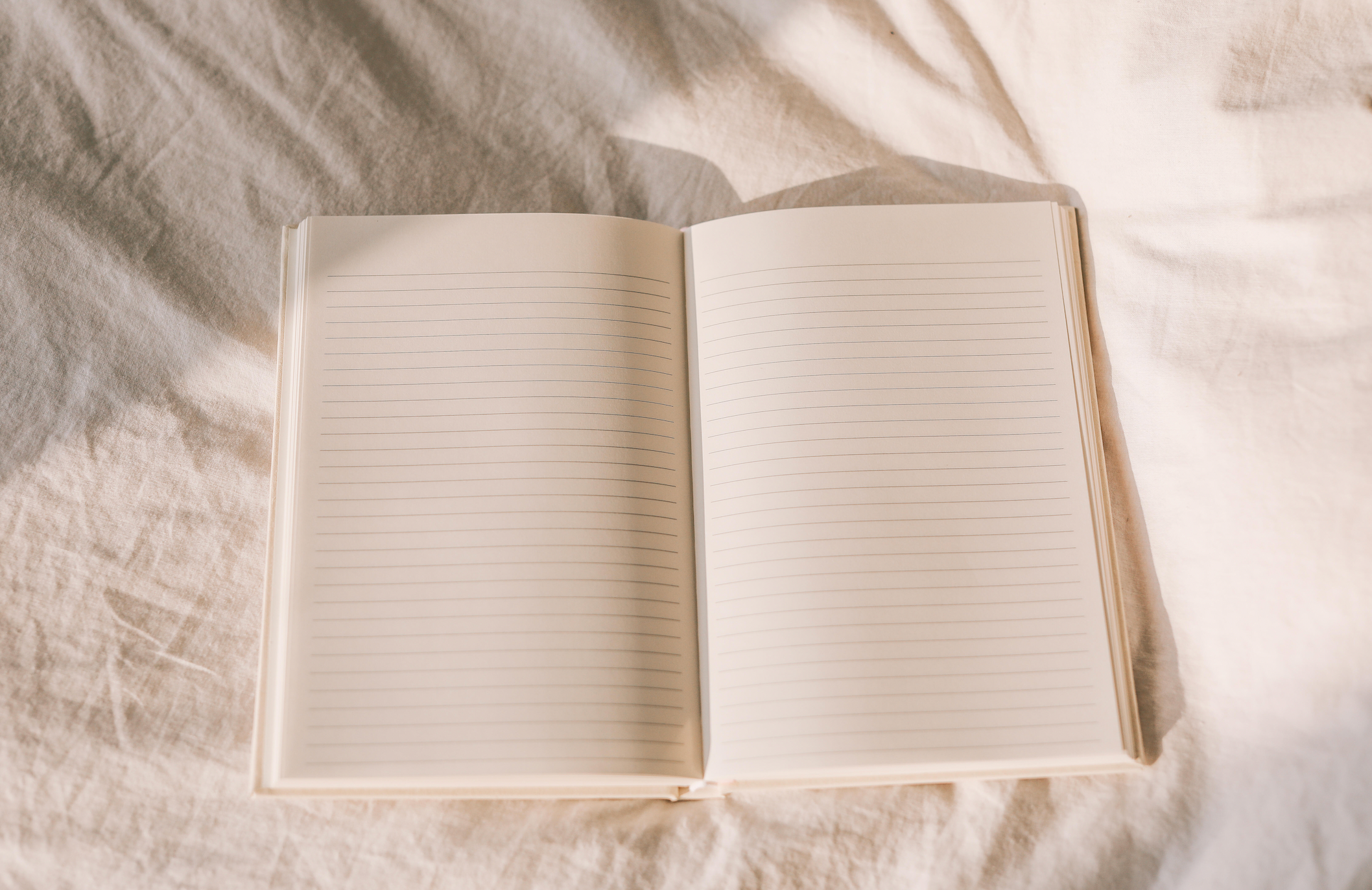 Strawberry Lined Journal