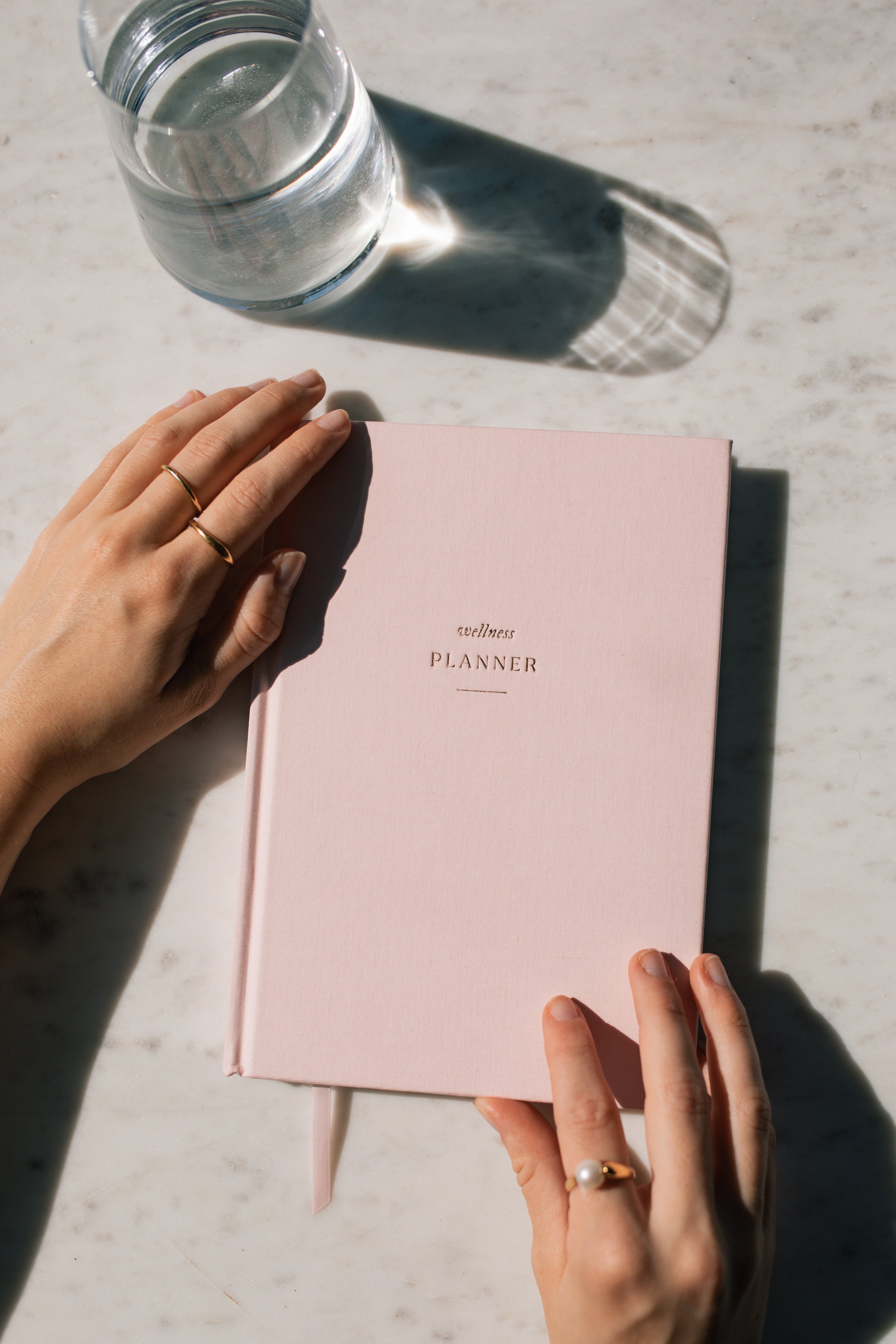 Wellness Planner