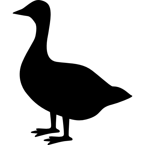 Strawberry Goose logo